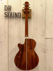 Takamine Custom TSP178ACK Glass Flower   #62030178 【無金利分割OK】【送料込み】_9