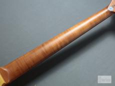 Bacchus WL5-ASH/RSM BBD【5弦】【ローステッドメイプル】_8