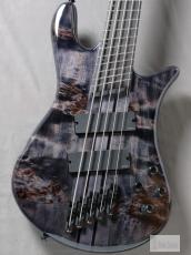 Spector NS Dimension MS 5 Gloss EE Translucent Black【5弦】【クロサワ楽器店オーダーモデル】