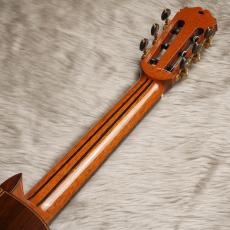 Sakurai Kohno[桜井・河野 ] Maestro_11