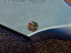 Gibson Non-Reverse Firebird Gloss Prototype : Pelham Blue_8