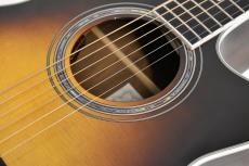 Morris R-14G BS(ブラウンサンバースト) 【国産エレアコ】_7