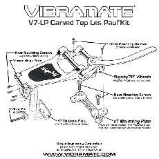 VIBRAMATE V7 Mounting Plate for Bigsby B7_2