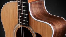 Taylor 214ce C-Class Bracing w/Expressin System 2 Pickup【オンラインストア限定】_4