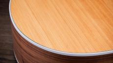 Taylor 214ce C-Class Bracing w/Expressin System 2 Pickup【オンラインストア限定】_7