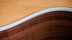 Taylor 214ce C-Class Bracing w/Expressin System 2 Pickup【オンラインストア限定】_8