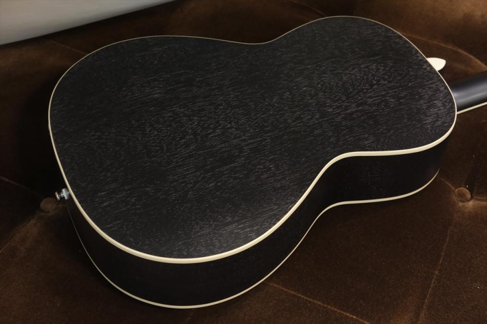 Paul Reed Smith [PRS] SE P20E Parlor with Fishman / Dog Hair 新品