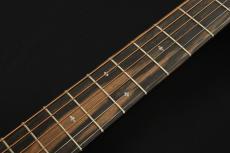 Martin "Vintage Inspired Road Series" GPC-10E 【リミテッドモデル】_7