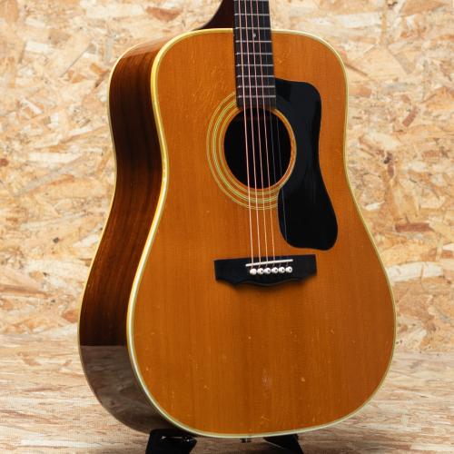Guild D-50 1981