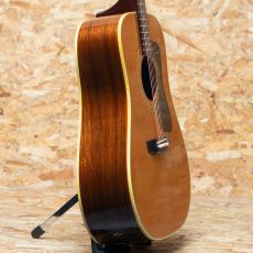 Guild D-50 1981_4