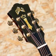 Guild D-50 1981_8