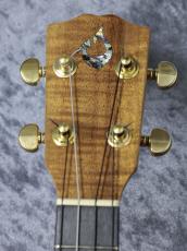 G String T4 SUN SH【テナー】【アウトレット特価品】_3