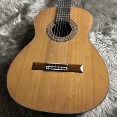 ASTURIAS Sonora / VC(オールドスギ使用)【640mm】(加藤優太 氏 監修モデル)【 現物画像】