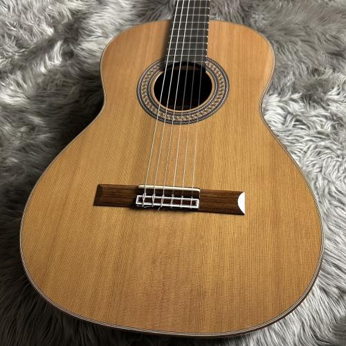 ASTURIAS Sonora / VC(オールドスギ使用)【640mm】(加藤優太 氏 監修モデル)【 現物画像】