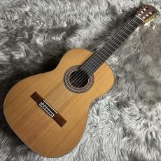 ASTURIAS Sonora / VC(オールドスギ使用)【640mm】(加藤優太 氏 監修モデル)【 現物画像】_2