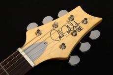 Paul Reed Smith [PRS] SE Silver Sky Dragon Fruit_4