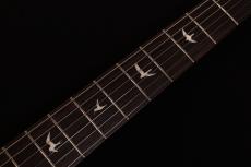 Paul Reed Smith [PRS] SE Silver Sky Dragon Fruit_5