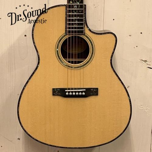 Larrivee LV-72 “Vine Pres RW”　♯139398  【無金利分割OK】