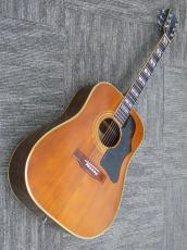 Chaki(チャキ)の検索結果1～19件【楽器検索｜Jギター】