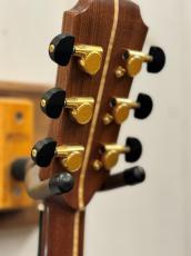 AVALON GUITARS L2-800C 《Brazilian Rosewood》【無金利分割OK】_6