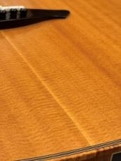 AVALON GUITARS L2-800C 《Brazilian Rosewood》【無金利分割OK】_10