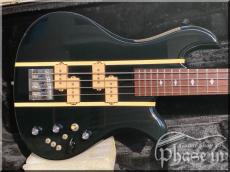 Burny EB-95X / X-JAPAN HEATH MODEL