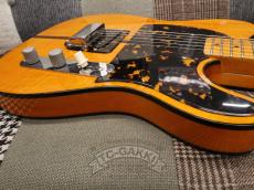 H.S.Anderson 1973-1975 HS-1 Mad Cat_13