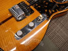 H.S.Anderson 1973-1975 HS-1 Mad Cat_15