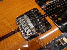 H.S.Anderson 1973-1975 HS-1 Mad Cat_16