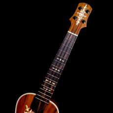 Tatsuya Mitsui Type R - Hawaiian milo -_6