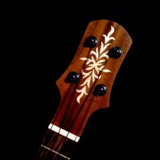 Tatsuya Mitsui Type R - Hawaiian milo -_15