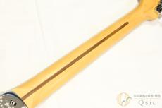 Fender American Professional II Stratocaster HSS RW [ML007]【阿倍野店在庫】 // オータムセール対象商品!_4