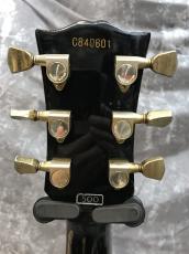 Greco EGC500_5