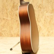 IRIS GUITAR COMPANY DF Model Adirondack Spruce Tobacco Burst_5