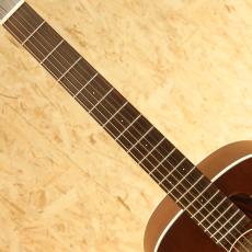 IRIS GUITAR COMPANY DF Model Adirondack Spruce Tobacco Burst_6