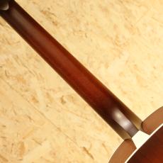 IRIS GUITAR COMPANY DF Model Adirondack Spruce Tobacco Burst_7