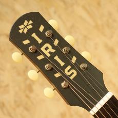 IRIS GUITAR COMPANY DF Model Adirondack Spruce Tobacco Burst_8