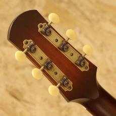 IRIS GUITAR COMPANY DF Model Adirondack Spruce Tobacco Burst_9