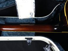 KING SNAKE Curtis / H Deep Body Tobacco Sunburst_8