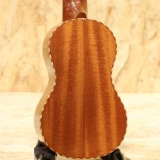 Iwaki Strings Factory WU-001 Soprano 2010's_2