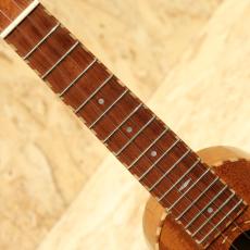 Iwaki Strings Factory WU-001 Soprano 2010's_6