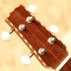 Iwaki Strings Factory WU-001 Soprano 2010's_8