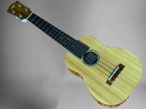 T's CJ-200sf