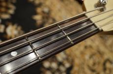 SCHECTER OL-TB/SW/R_4