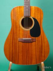 Martin D-25K2