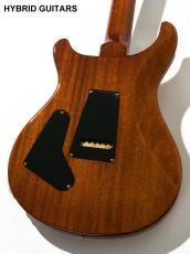 Paul Reed Smith [PRS] 30th Anniversary Custom 24 10Top & 1P-Mahogany Honey 2015_2