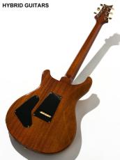 Paul Reed Smith [PRS] 30th Anniversary Custom 24 10Top & 1P-Mahogany Honey 2015_4