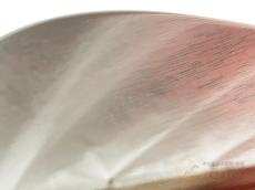 Bacchus WOODLINE5 SHIDAREZAKURA 【返品OK】[MMN63]【梅田店在庫】_8