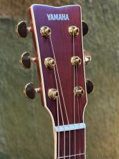 YAMAHA 【初心者の方にもおすすめ!】LL6 ARE【パッシブピックアップ搭載】_5