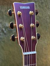 YAMAHA 【初心者の方にもおすすめ!】LS6 ARE【パッシブピックアップ搭載】_5